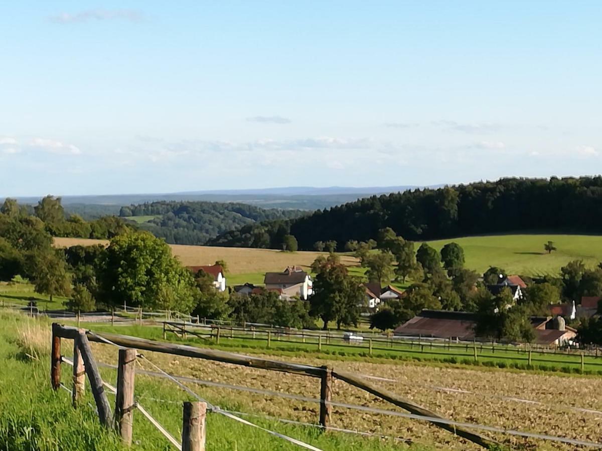 Fewo Darsberg Neckarsteinach Exteriér fotografie