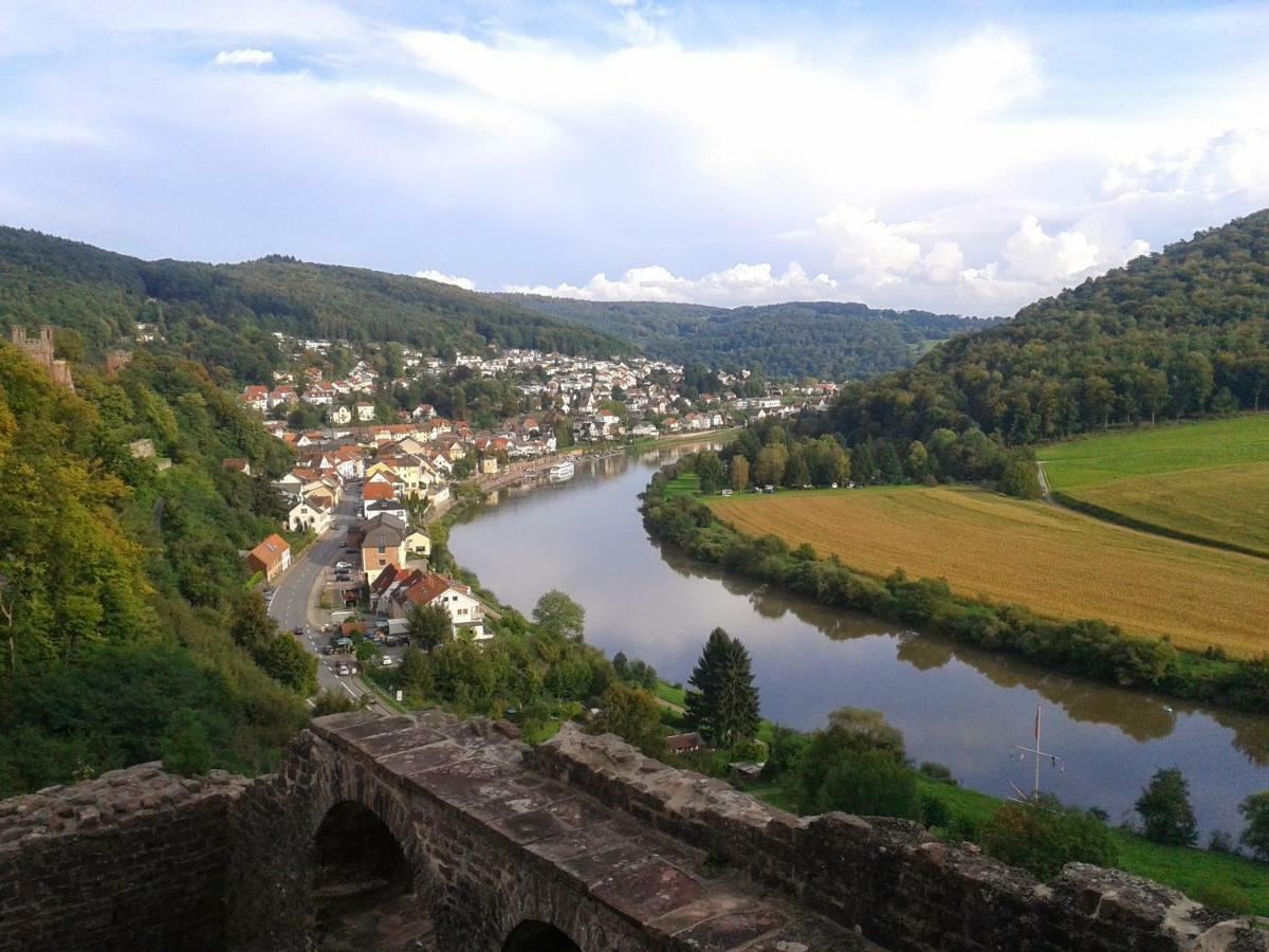 Fewo Darsberg Neckarsteinach Exteriér fotografie